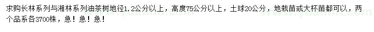 求購地徑1.2公分以上油茶樹