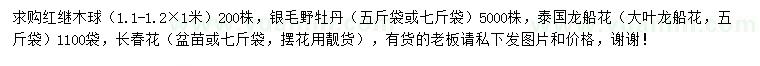 求購紅繼木球、銀毛野牡丹、泰國(guó)龍船花等
