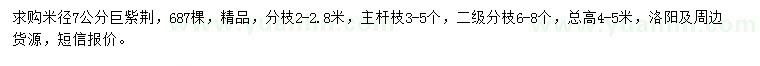 求購米徑7公分巨紫荊