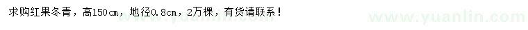 求購高150公分紅果冬青