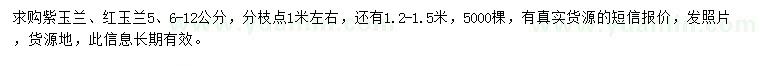 求購5、6-12公分紫玉蘭、紅玉蘭