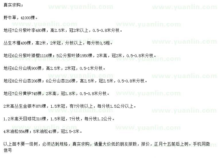 求購紫葉李、叢生木槿、紫葉矮櫻等