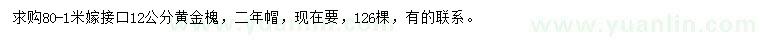 求購12公分黃金槐
