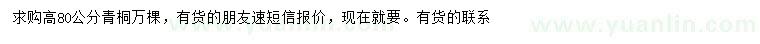 求購高80公分青桐