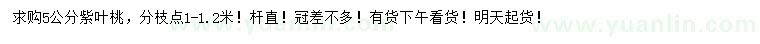 求購5公分紫葉桃
