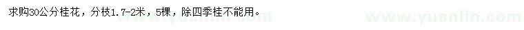 求購30公分桂花