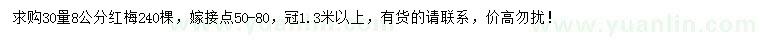 求購30量8公分紅梅