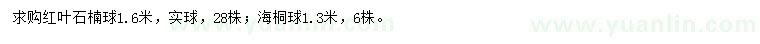 求購1.6米紅葉石楠球、1.3米海桐球