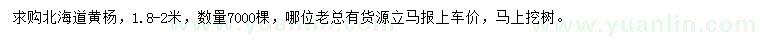求購(gòu)1.8-2米北海道黃楊
