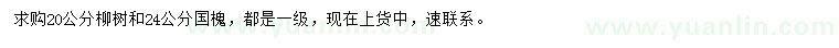 求購20公分柳樹、24公分國槐