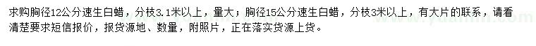 求購胸徑12、15公分速生白蠟