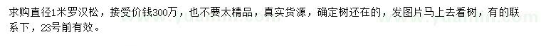 求購直徑1米羅漢松