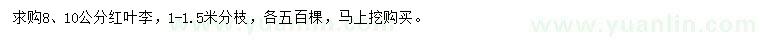 求購8、10公分紅葉李