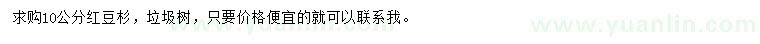 求購10公分紅豆杉