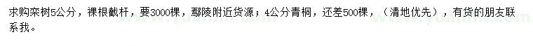 求購(gòu)5公分欒樹(shù)、4公分青桐