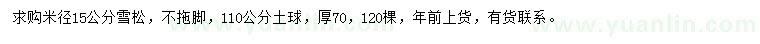 求購米徑15公分雪松
