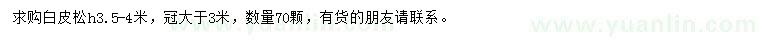 求購高3.5-4米白皮松
