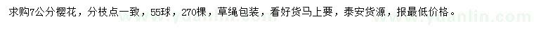 求購(gòu)7公分櫻花
