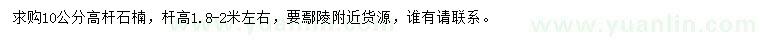 求購(gòu)10公分高桿石楠
