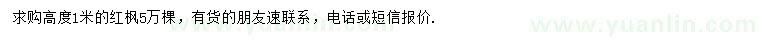 求購高度1米紅楓