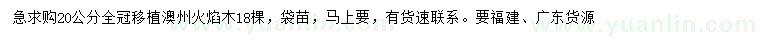求購20公分澳州火焰木