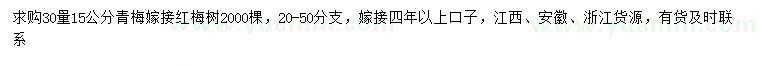 求購30量15公分青梅嫁接紅梅