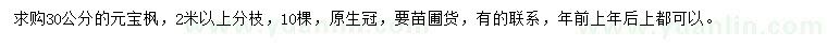 求購30公分元寶楓