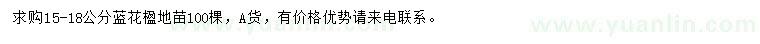 求購15-18公分藍(lán)花楹