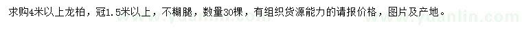 求購4米以上龍柏