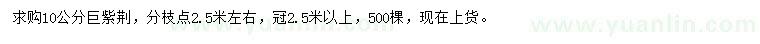 求購10公分巨紫荊