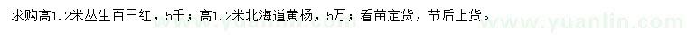 求購(gòu)高1.2米叢生百日紅、北海道黃楊