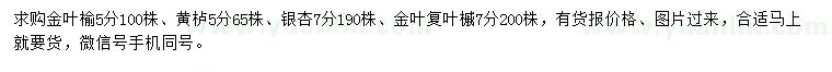 求購金葉榆、黃櫨、銀杏等