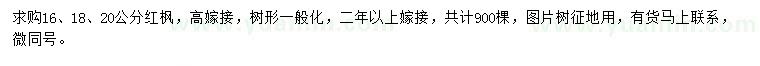 求購16、18、20公分紅楓
