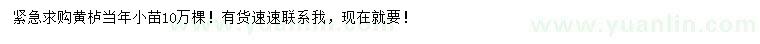 求購(gòu)黃櫨當(dāng)年小苗