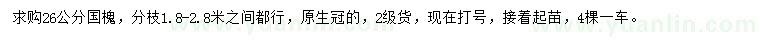 求購26公分國(guó)槐