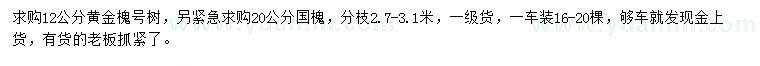 求購12公分黃金槐、20公分國(guó)槐