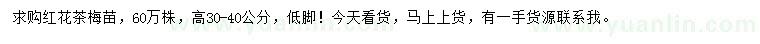 求購(gòu)高30-40公分紅花茶梅苗