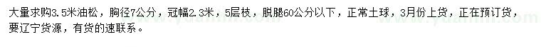求購3.5米油松