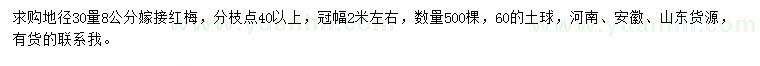 求購(gòu)30量8公分嫁接紅梅