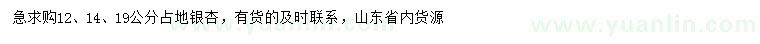 求購12、14、19公分銀杏