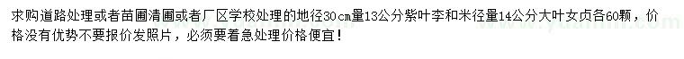 求購地徑30量13公分紫葉李、米徑量14公分大葉女貞
