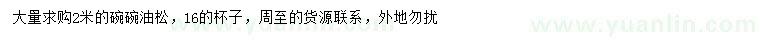 求購(gòu)2米碗碗油松