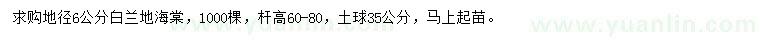 求購地徑6公分白蘭地海棠