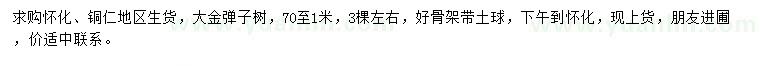 求購0.7-1米大金彈子樹