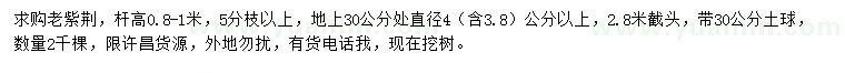 求購30量4公分以上老紫荊