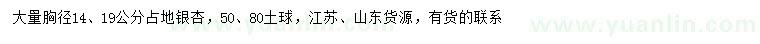 求購胸徑14、19公分占地銀杏