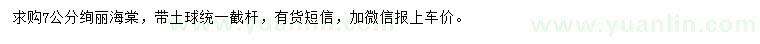 求購7公分絢麗海棠