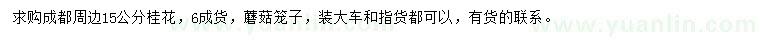 求購15公分桂花
