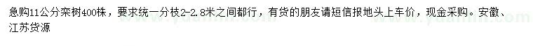 求購11公分欒樹