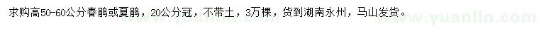求購(gòu)高50-60公分春鵑或夏鵑